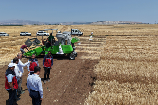 Kuraklığa Dayanıklı Tohumlar Adıyaman'dan Yükselecek