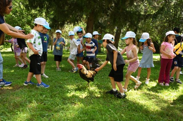 Minik Kalplerden Tarım ve Orman Müdürlüğüne Ziyaret: Hem Eğlendiler Hem Öğrendiler