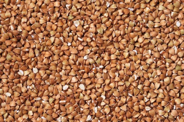 Rusya'dan Türkiye'ye Tarihi Karabuğday İhracat Rekoru