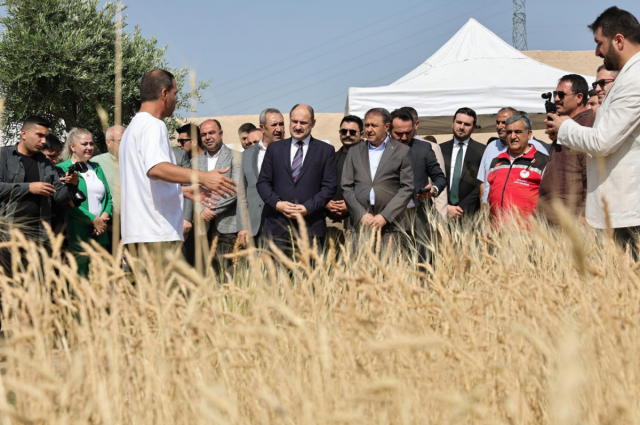Şanlıurfa'da "Slow Wheat 2025" ile Buğday Medeniyeti Yeniden Keşfediliyor