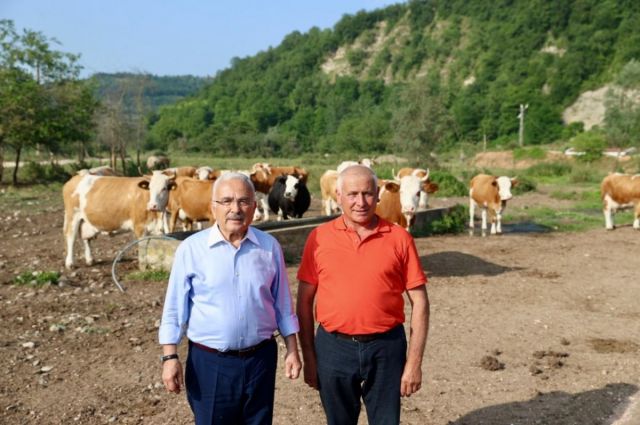 Yem Desteği Süt Verimini Uçurdu