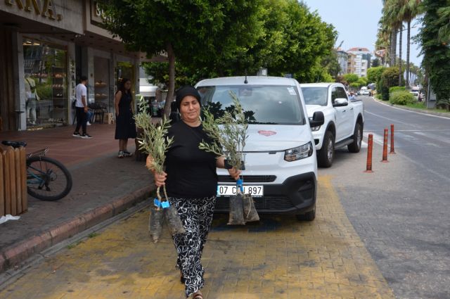 Antalya Büyükşehir'den Çiftçilere Zeytin Fidanı Desteği Sürüyor!