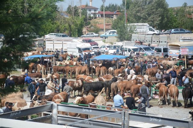 Bakanlık Açıkladı: Hayvan Satışları Yasaklandı!