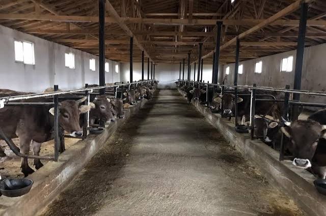 Çiftçilere 865 Milyon TL Destek Ödemesi Yapıldı
