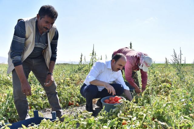 Çiftçiye Müjde: 2026 Tarımsal Destek Başvuruları Başladı!