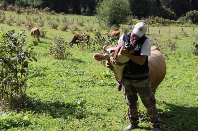 Süt ve Süt Ürünleri Üretim Verileri Açıklandı