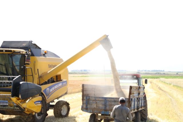 TMO'dan Yemlik Arpa İhalesi: 225 Bin Ton İthal Edilecek