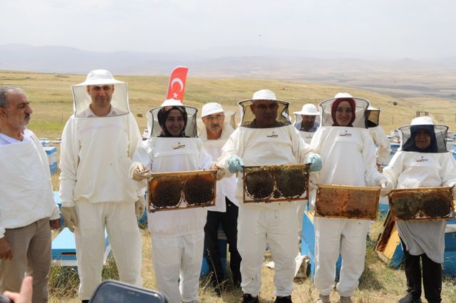 Ağrı'da Kadın Arıcılardan Bal Hasadı