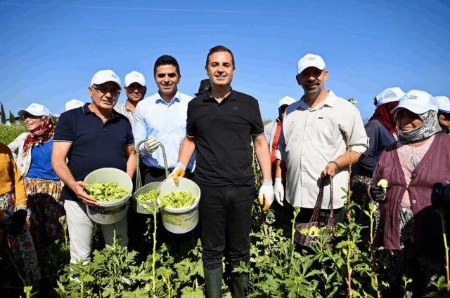 Balıkesir Büyükşehirden Çiftçilere Bamya Desteği