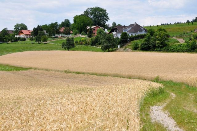 Belarus, Litvanya’dan İthalatta Yasakları 6 Ay Daha Uzattı