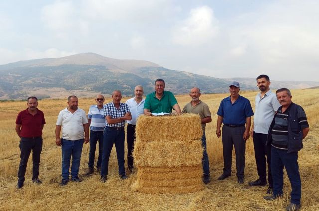 Buğday Üreticisi 2 Yılda %47 Mazot Kaybı Yaşadı