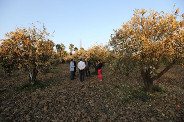 Çiftçilerin Geleceği Tehlikede: Her Dört Çiftçiden Biri Mesleği Bırakmayı Düşünüyor
