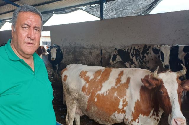 Hayvancılıkta Yem Fiyatları ve İthalat Politikaları Üreticiyi Zorluyor