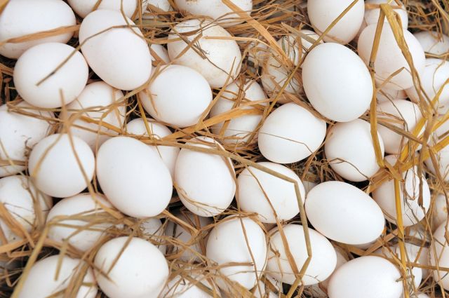 Kafessiz Yumurta ABD’de Rekor Kırıyor