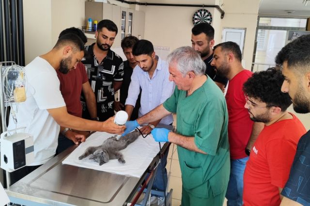 Kars'ta Suni Tohumlama Kursu Başarıyla Tamamlandı