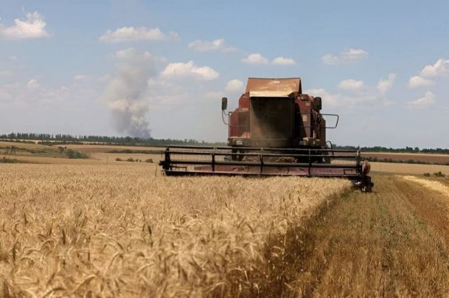 Mısır, Fransa’dan 200 Bin Ton Buğday Alımı İçin Anlaştı