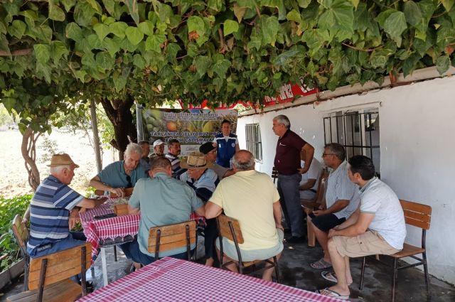 Muğla'da Zeytin Üreticilerine Yönelik Kapsamlı Eğitimler Başladı