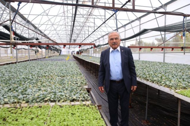 Ordu'dan Çiftçilere 200 Bin Kışlık Fide Desteği