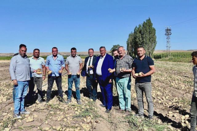 Patates Üreticisinin Feryadı: "8 Lira Maliyetle Patates Çöp Oluyor"