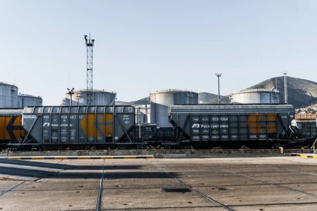 Rus Buğdayının İhracat Fiyatı Yükselişte: Ton Başına 242 Dolara Ulaştı