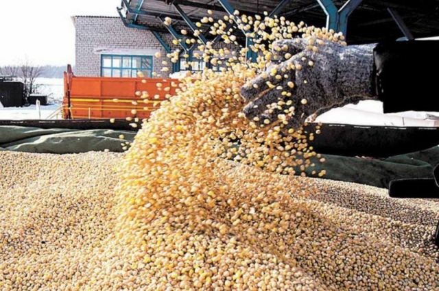 Rusya ve Çin, ABD'nin soya fasulyesi ticaretini %51 oranında düşürdü