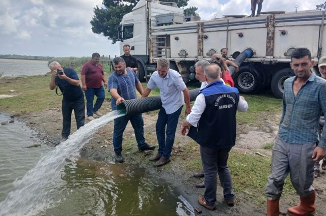 Samsun'daki İç Sulara 2 Milyon 341 Bin Adet Yavru Sazan Bırakıldı