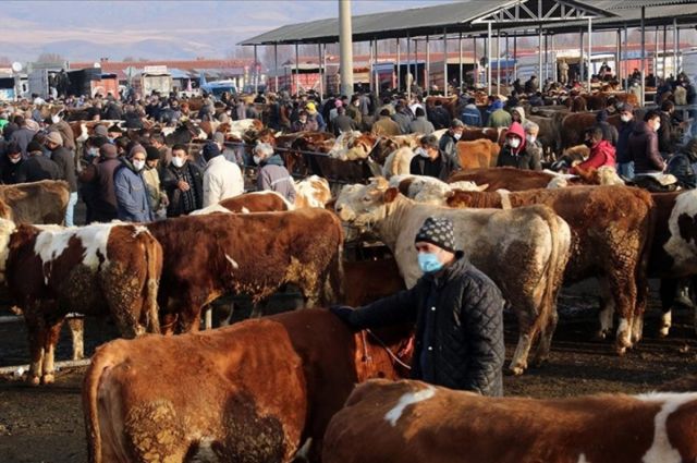 Son Dakika… 24 İlde Hayvan Pazarları Yeniden Açıldı