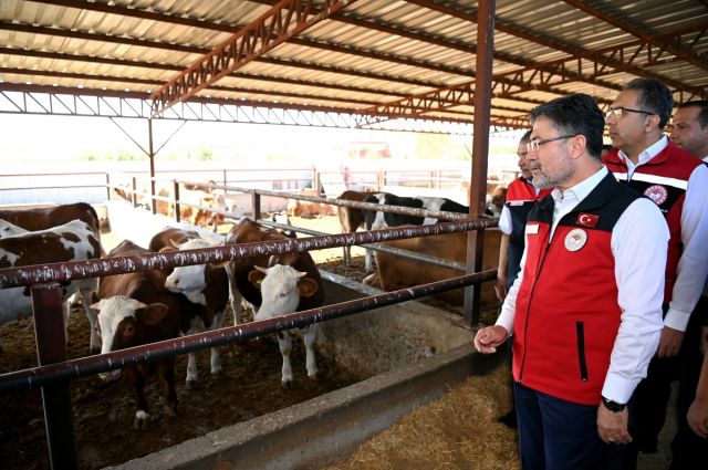SON DAKİKA... Tarım Bakanı'ndan Besicilere Yeni Destek Müjdesi