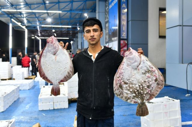 ABB, Yenimahalle Balık Hali’nde denetimlere başladı
