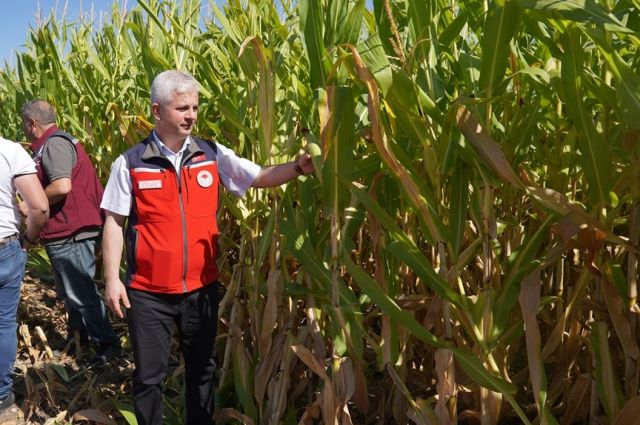 Çankırı’da 8 bin dekarda silajlık mısır ekimi yapılıyor