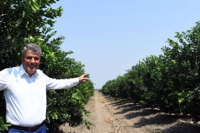 CHP’li Barut: Tarımsal destekler üretici lehine revize edilmeli