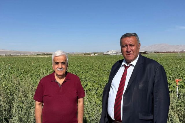CHP’li Gürer’den Tarım Bakanlığı’na çağrı: Şeker pancarı alım fiyatı açıklansın