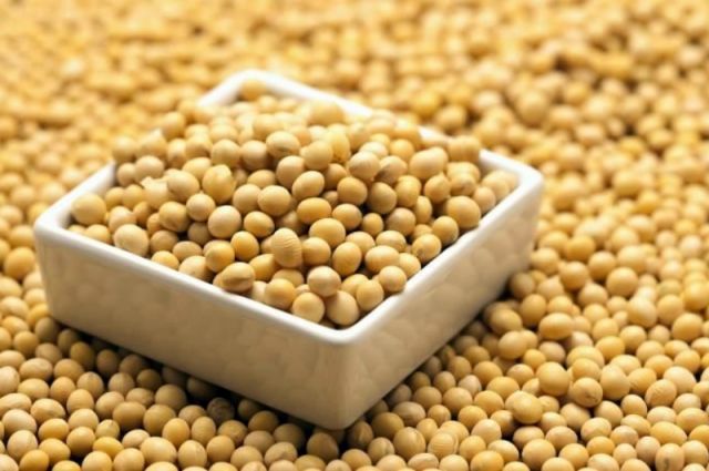 Çin, Yüksek Stoklar Nedeniyle ABD'den Soya İthalatını Durdurabilir