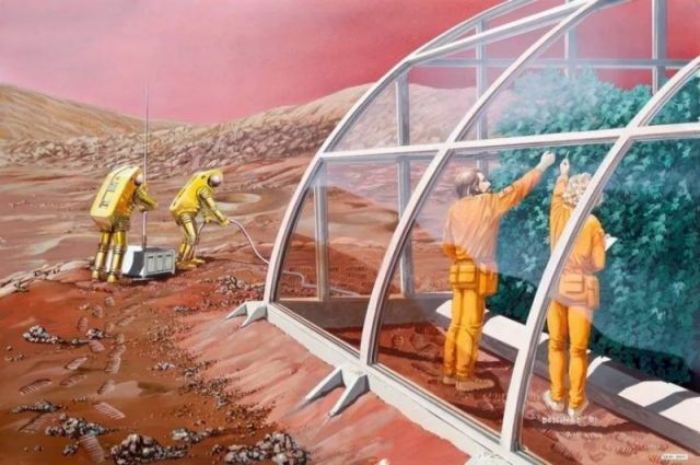 Elon Musk, Mars’a Bitki Deneyi için Serayı Gönderecek