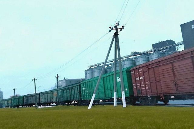 Kazakistan Tahıl Birliği: Tahıl İhracatında Lojistik %30 Arttı