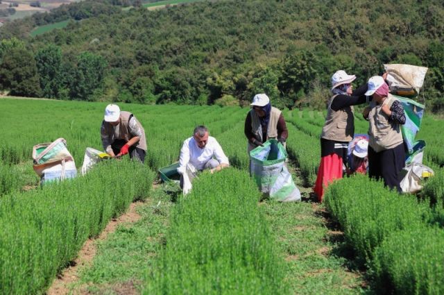 Kocaeli Büyükşehir’den Çiftçilere 1 Milyar Lira Tarım Desteği