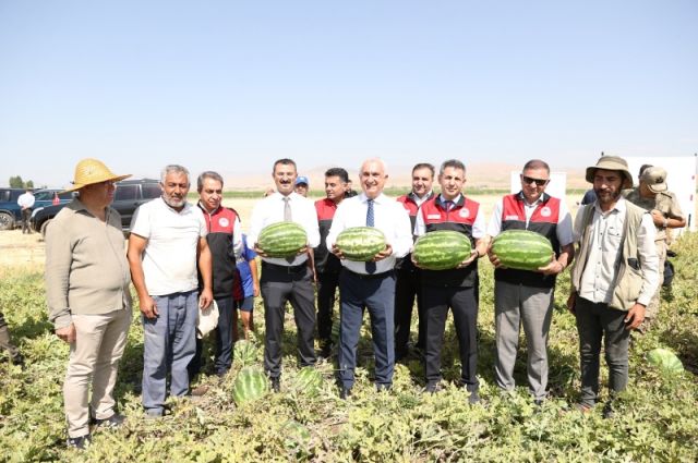 Muş’ta Bereket Hasadı Başladı: Karpuz Tarlaları Şenlendi