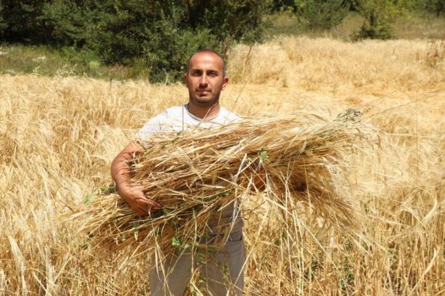 Ordu’da Genç Çiftçi Özer 200 Dönüm Araziyi Tarıma Açtı
