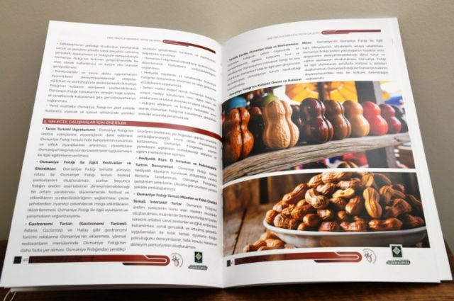 Osmaniye'nin Lezzeti Kitap Oldu: Yer Fıstığı Çalıştayı Kitabı Yayımlandı