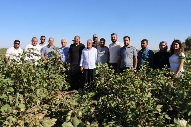 Şanlıurfa’da Büyükşehir Pamuk Tarımı Eğitim Günü Düzenledi