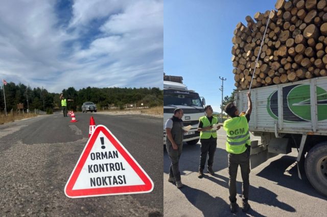 Tarım ve Orman Bakanlığı’ndan orman ürünleri taşımacılığında ATS zorunluluğu