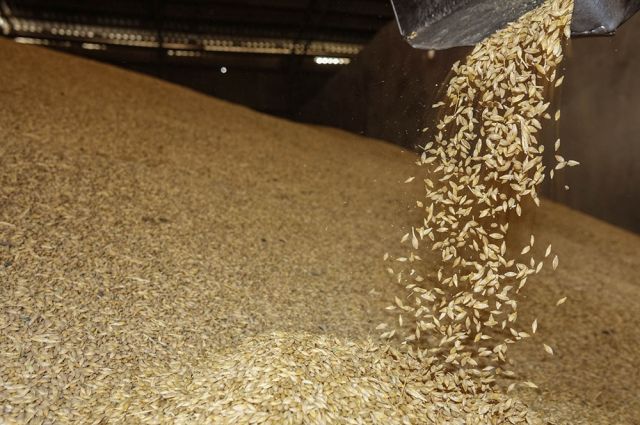 Ürdün, Cargill’den 60 Bin Ton Arpa Satın Aldı