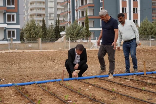 Adıyaman Belediyesi 10 Dönümlük Alanda Sebze Ekimi Başlattı