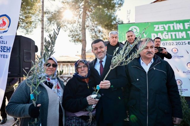Büyükşehir Belediyesi üreticilere 100 bin zeytin fidanı desteği verecek