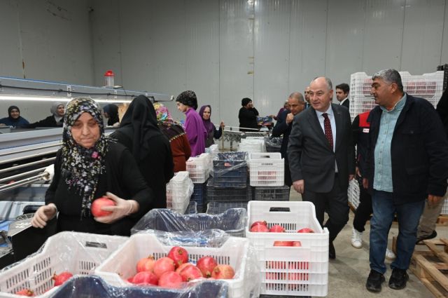 Denizli’den Avrupa’ya 2025’in İlk Nar İhracatı Gerçekleşti
