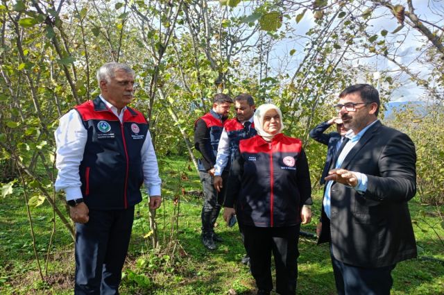 Düzce’de Kahverengi Kokarcayla Mücadele Çalışmaları Değerlendirildi