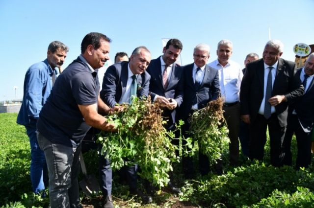 Osmaniye’de Yerfıstığı Festivali Tanıtım Toplantısı Yapıldı
