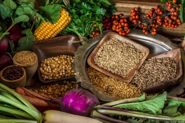 Aydın Büyükşehir Belediyesi Karpuzlu’da Ata Tohumu fidesi dağıttı