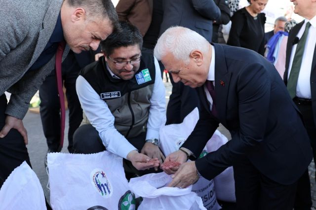Bursa Büyükşehir’den üreticiye 44 ton yerli buğday tohumu desteği