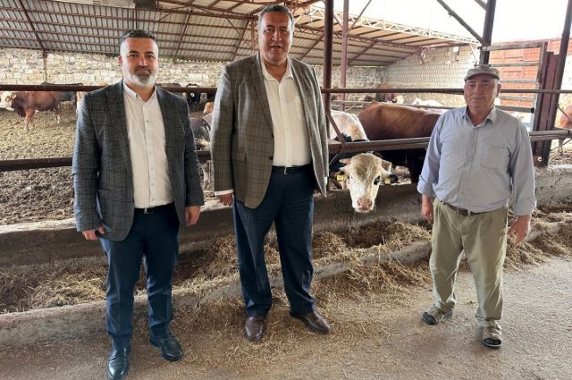 CHP’li Gürer: Hayvancılıkta Kriz Derinleşiyor